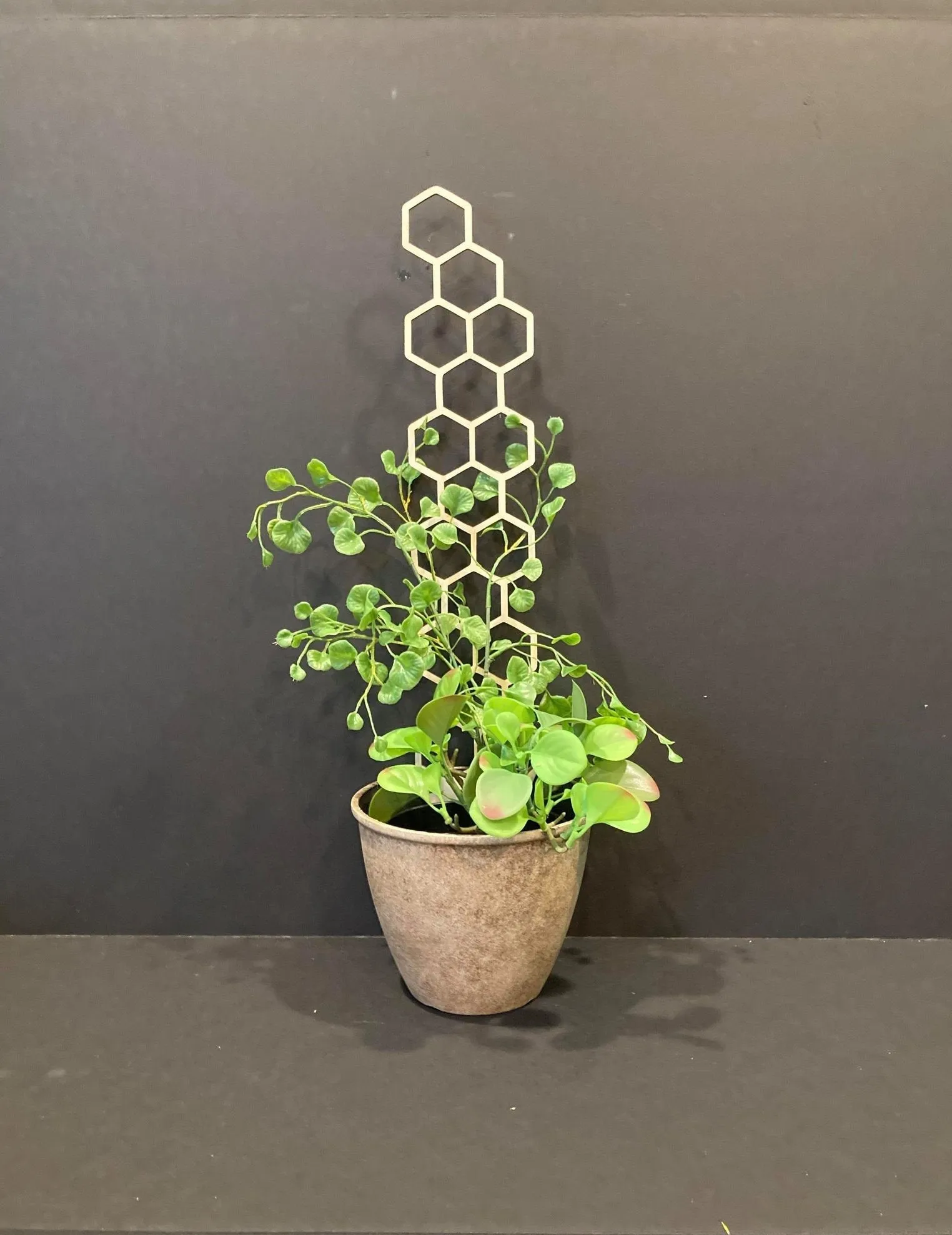 17'' Skinny  | Plant Trellis | FAST SHIPPING | Honeycomb Houseplant Trellis | Indoor Garden Trellis | Plant Lover Gift | Insured Shipping