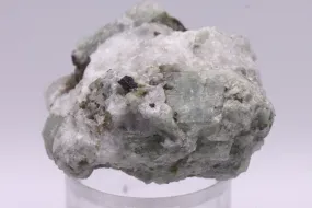 Green Beryl Crystals in Matrix Mineral Specimen - Afghanistan