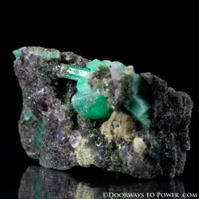 Green EMERALD Crystals on Smoky Quartz Specimen