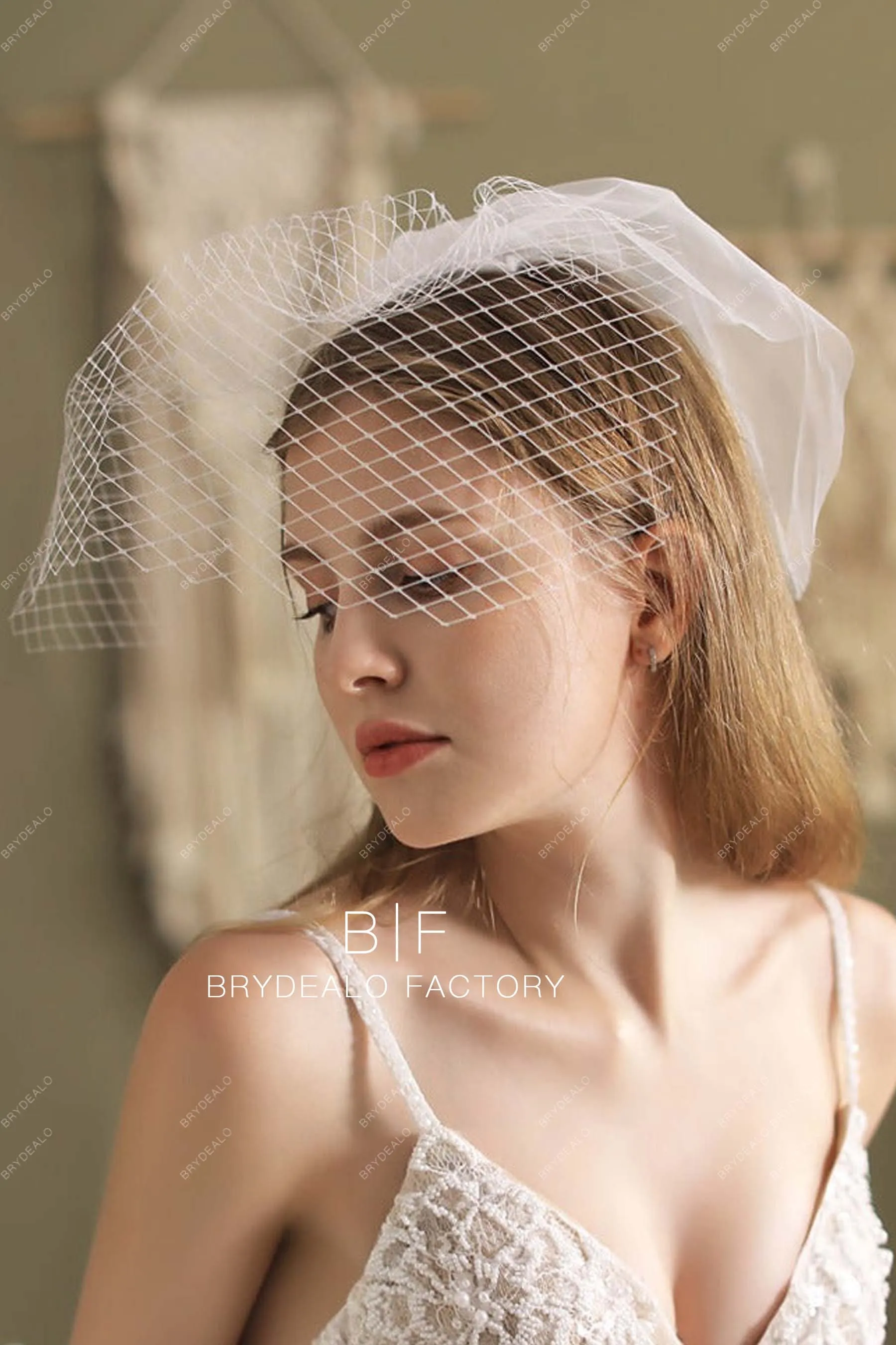 Vintage Birdcage Veil Classic Short Bridal Tulle Blusher Veil