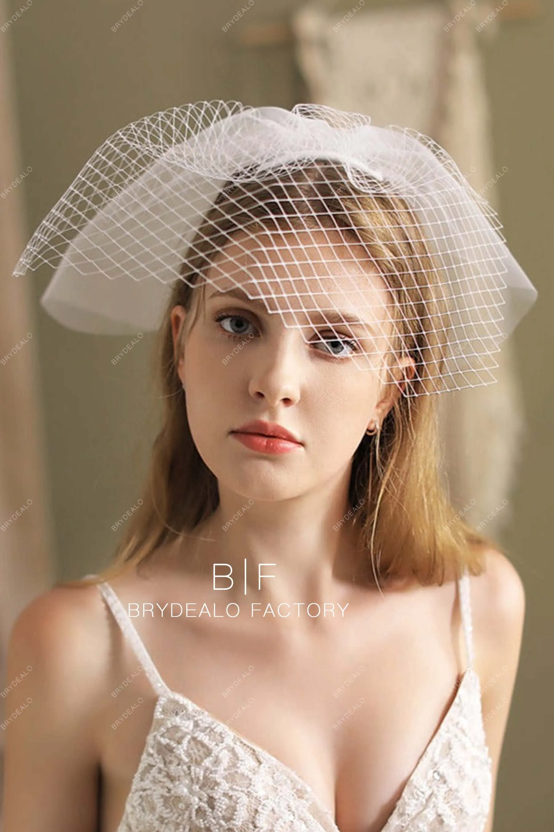 Vintage Birdcage Veil Classic Short Bridal Tulle Blusher Veil